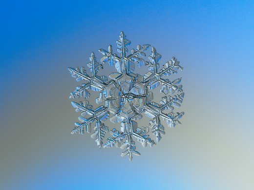 921158 (a): :2048x1536